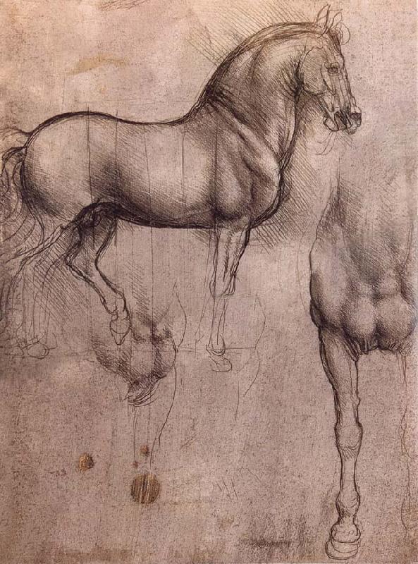 Studies of horses, LEONARDO da Vinci